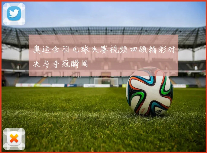 奥运会羽毛球决赛视频回顾精彩对决与夺冠瞬间