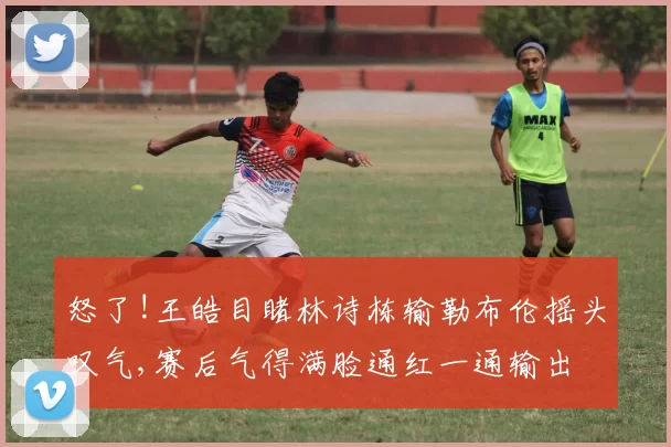 怒了!王皓目睹林诗栋输勒布伦摇头叹气,赛后气得满脸通红一通输出