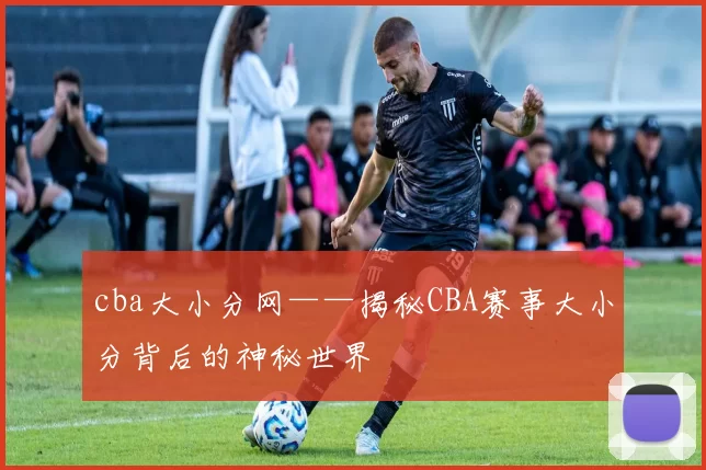cba大小分网——揭秘CBA赛事大小分背后的神秘世界